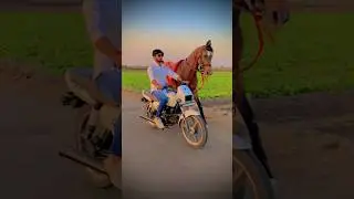 Horse lovers ❤️‍🔥 || horse racing || 