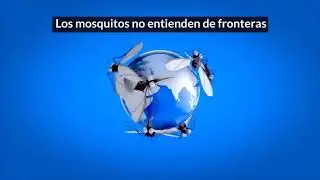 Picadura de mosquito, debo preocuparme?