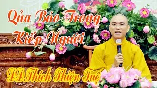 Qủa Báo Trong Kiếp Người, Thích Thiện Tuệ, Chùa Bửu Liên, Rất Hay
