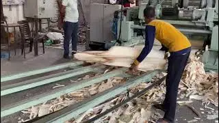 Tuskar 4Futt Peeling full automatic.