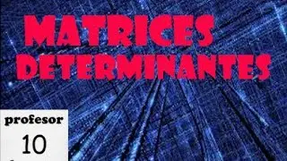 Matrices nomenclatura y  tipos