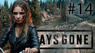 Days Gone  прохождение #14