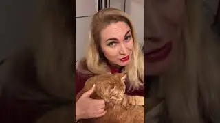 ЖЕНСКИЕ ОБЯЗАННОСТИ В БРАКЕ😏