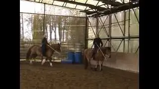 Wir üben Garrocha für  Beginner...Teil 1