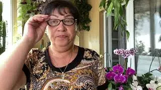 ОБЬЯВЛЕНИЕ О ПРОДАЖЕ СВОЕЙ КОЛЛЕКЦИИ ОРХИДЕЙ