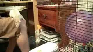 Bonnie Jumps