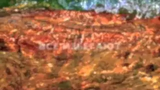 Ринат Абу Мухаммад ПРОСЬБА РИНАТА 2
