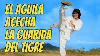 Wu Tang Collection - El águila acecha la guarida del tigre (Super Power)