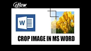 How to crop image in MS Word | e How
