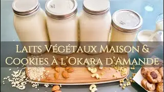 4 RECETTES DE LAITS VÉGÉTAUX | BONUS : délicieuse recette de COOKIES