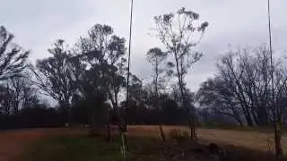Phased Vertical Array on 20M