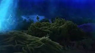 Fish animation, houdini, Redshift using vellum