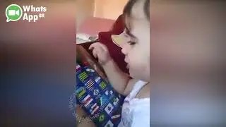 Pegadinhas do Zap X Brasil