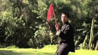 CHEN BING TAIJI ACADEMY CHILE Video promocional III (2015)