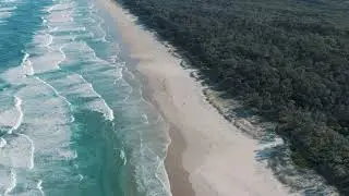 No Copyright Nature Video | Copyright Free Nature Video - NCF_HD_1080p