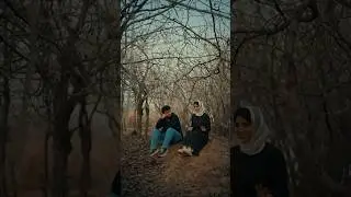 Кисае ба мисли Лайливу Кайс