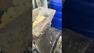 #extrudermachine #machine #ekstruder #extruder #farming #oilpress