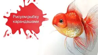 Рисуем Рыбку Цветными Карандашами! 🐟