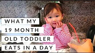 WHAT MY 19 MONTH OLD TODDLER EATS IN A DAY | FOOD DIARY