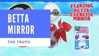 Betta Mirrors THE TRUTH - 105