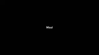 What happened in Maui 🔥 #shorts