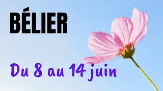 Taroscope BELIER - Semaine du 8 au 14 juin 2020