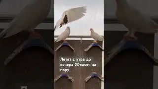 Можно перед покупкой погонять