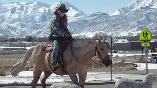 Jordanelle Reservoir Utah Winter 2025