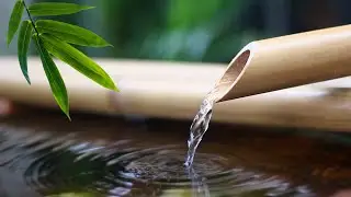 물소리로 여러분의 스트레스를 치유해줄게요🩹 자연소리ASMR, 새소리, 편안한소리, 잠오는소리