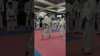 1st Trinidad koshiki Karatedo seminar, clip2
