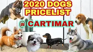 Dogs Pricelist 2020 | Cartimar Petshop