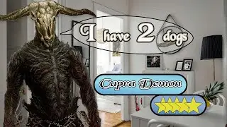 Which Dark Souls Boss is the best Roommate?