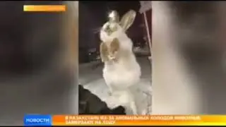 Как долго ещё будут продолжаться морозы...