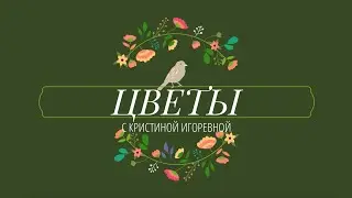 Знакомство с цветами