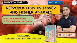 Class 12 | Reproduction in Lower and Higher Animals | #ysracademy | Maharashtra Boards