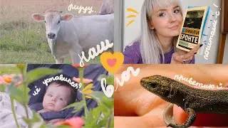VLOG Скрываю старые влоги ❤️ Витя увидел КОРОВ, Кукинг  Салат с Цукини, Провожу совместные чтения 📖