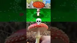 The Fly Agaric 🍄 (PVZ) 