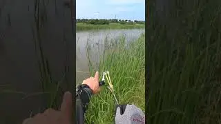 mullet hunting 