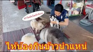 อุ้มมาไห้เจ็บใจบ่พอ เอามาแย่งข้าวกุกินอีกเด้อแบงค์