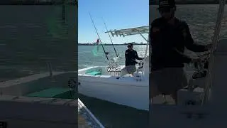 No more dock rash!! 🤯