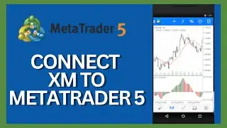 How to Connect XM to Metatrader 2024?