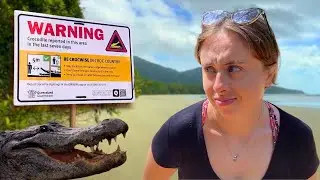 We Came Face-to-Face with a Crocodile: Daintree & Cape Tribulation