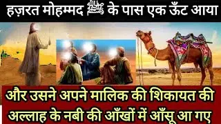 Nabi SAW Aur Oont Ka Waqia#islamicvido#ytshorts#namaz#youtubeshorts#viralvideo#viralshorts#shorts