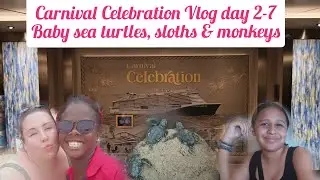 Carnival CELEBRATION Vlog - Baby Sea Turtles, sloths & monkeys! Oct 2024