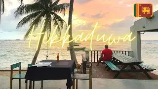 After the Breakup | Solo Trip | Hikkaduwa, Sri Lanka 🇱🇰