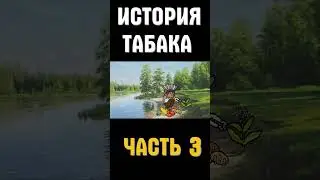 История Табака часть 3 our story  