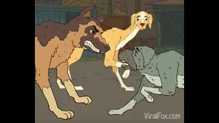 Собачья любовь