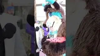 Do Furries Receive Hate at All? 