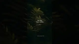 Panju Mittai Whatsapp Status #panjumittai