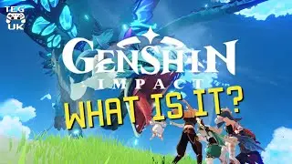 Genshin Impact- What is it? | Genshin Impact Gameplay | Genshin Impact PS4 Review